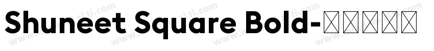 Shuneet Square Bold字体转换